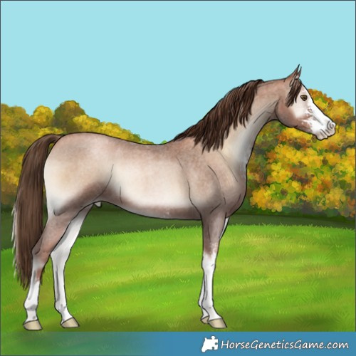 Horse Color:Liver Red Onyx Roan Pearl Sabino 