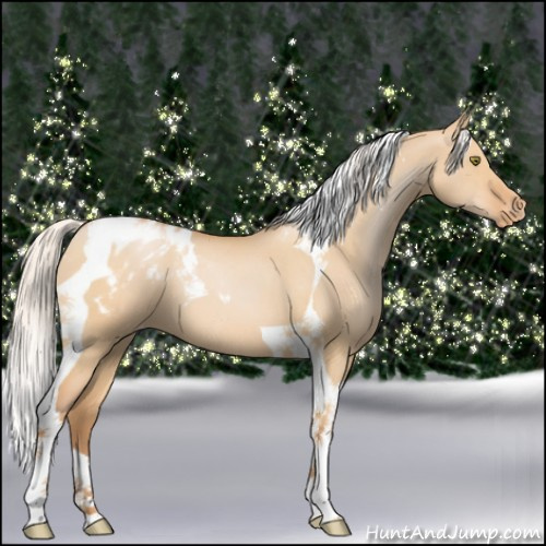 Horse Color:Silver Bay Pearl Dun Tobiano Appaloosa 