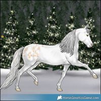Horse Color:Silver Bay Pearl Dun Tobiano Appaloosa 
