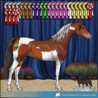 Horse Color:Bay Tobiano