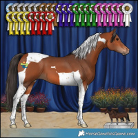 Horse Color:Bay Tobiano 