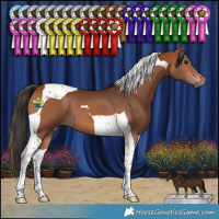 Horse Color:Bay Tobiano