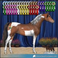Horse Color:Bay Tobiano 