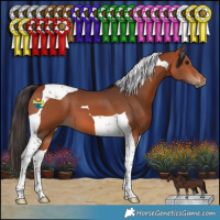 Horse Color:Bay Tobiano 