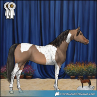 Horse Color:Brown Dun Tobiano