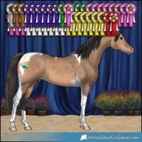 Horse Color:Brown Dun Tobiano