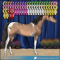 Horse Color:Brown Dun Tobiano 