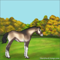 Horse Color:Brown Onyx 