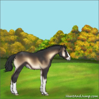 Horse Color:Brown Onyx 