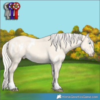 Horse Color:White Spotted Cremello Dun 