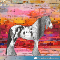 Horse Color:Smoky Black Tobiano Frame Appaloosa