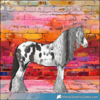 Horse Color:Smoky Black Tobiano Frame Appaloosa