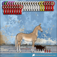 Horse Color:Chocolate Palomino Dun Brindle