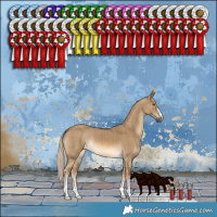 Horse Color:Chocolate Palomino Dun Brindle 