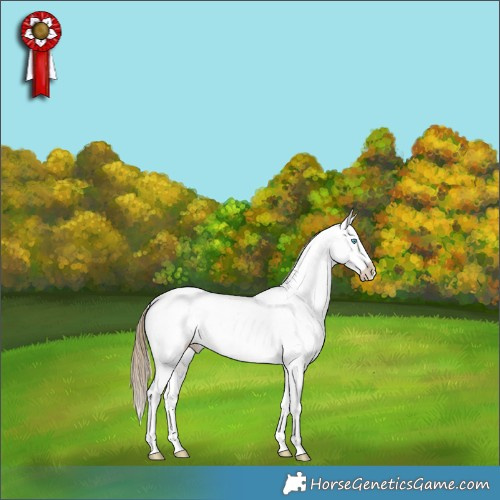 Horse Color:Buckskin Pearl Dun Appaloosa Brindle 