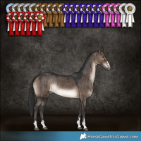 Horse Color:Brown Dun Brindle