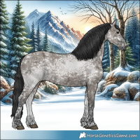 Horse Color:Grullo Ice 