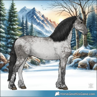 Horse Color:Grullo Ice 