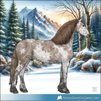 Horse Color:Liver Red Dun Ice 