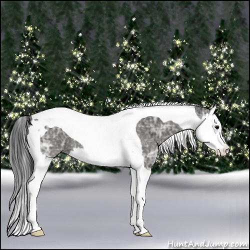 Horse Color:Black Ice Splash Tobiano