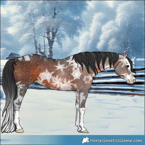 Horse Color:Brown Ice Splash 