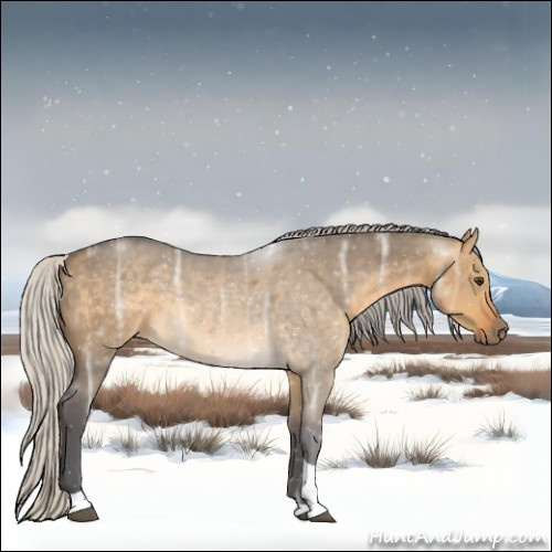 Horse Color:Silver Buckskin Ice Dun Tobiano