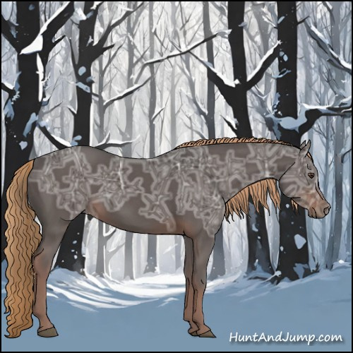 Horse Color:Liver Chestnut Ice
