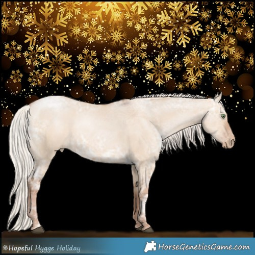 Horse Color:Silver Bay Ice Pearl Dun 