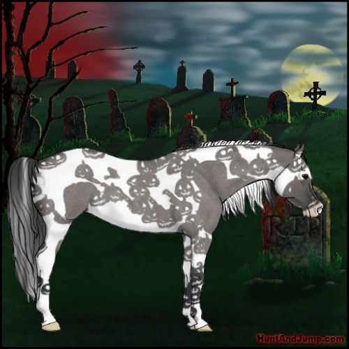 Horse Color:Grullo Roan Splash Tobiano