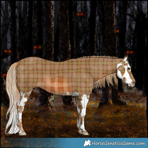 Horse Color:Plaid  Chestnut Splash 