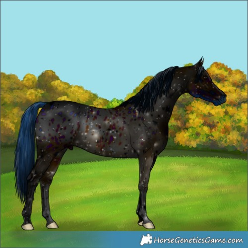 Horse Color:ERROR: UNKNOWN ANOMALY