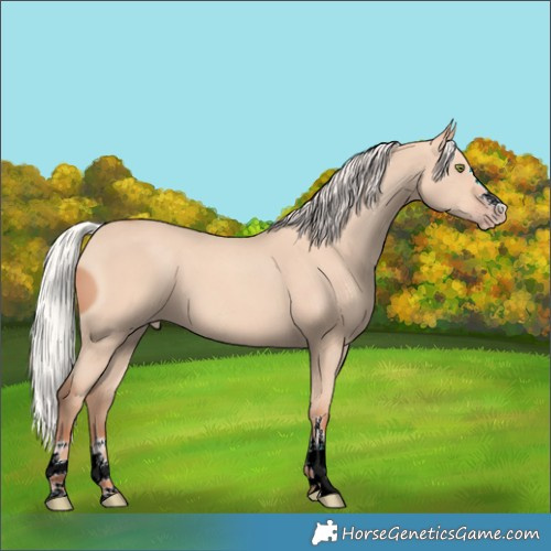 Horse Color:ERROR: UNKNOWN ANOMALY