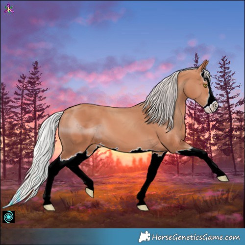 Horse Color:ERROR: UNKNOWN ANOMALY