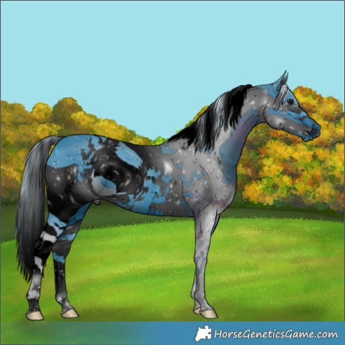 Horse Color:ERROR: UNKNOWN ANOMALY