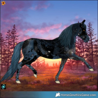Horse Color:ERROR: UNKNOWN ANOMALY