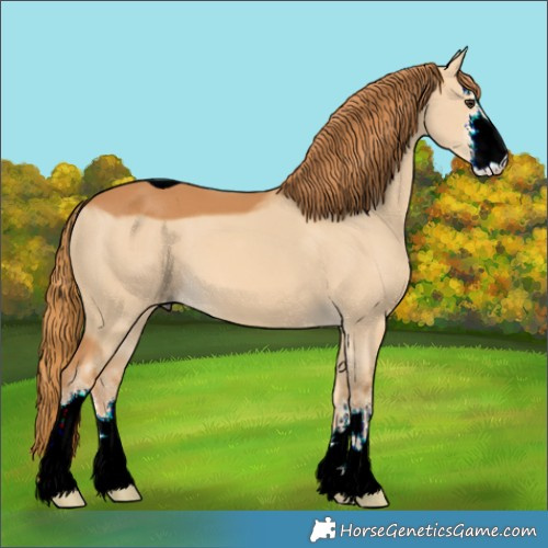 Horse Color:ERROR: UNKNOWN ANOMALY