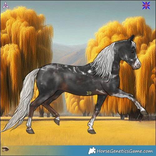 Horse Color:Liver Chestnut Mushroom Tobiano