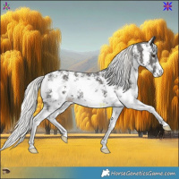 Horse Color:Liver Chestnut Mushroom Sabino 