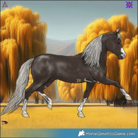 Horse Color:Liver Chestnut Mushroom