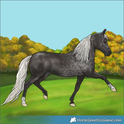 Horse Color:Liver Chestnut Mushroom 