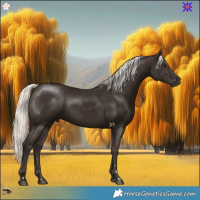 Horse Color:Liver Chestnut Mushroom 