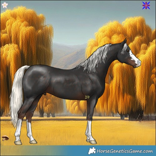 Horse Color:Liver Chestnut Mushroom 