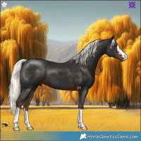 Horse Color:Liver Chestnut Mushroom