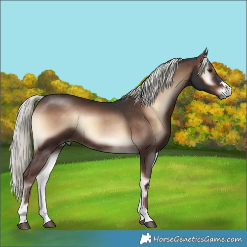 Horse Color:Liver Red Onyx Mushroom Rabicano 