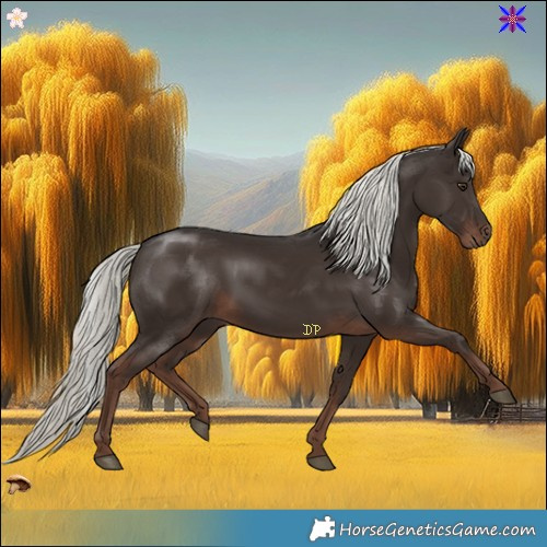 Horse Color:Liver Chestnut Mushroom 