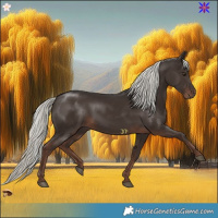 Horse Color:Liver Chestnut Mushroom 