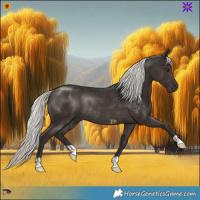 Horse Color:Liver Chestnut Mushroom Rabicano 