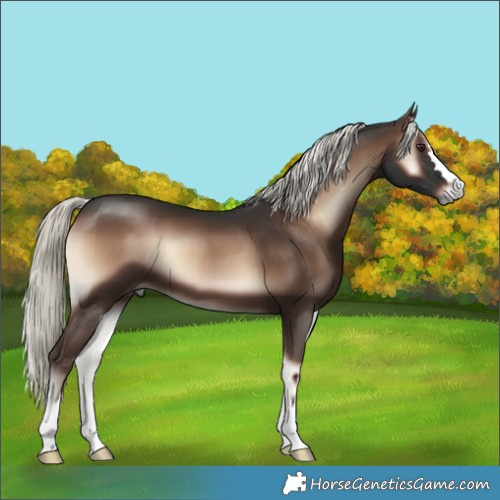 Horse Color:Liver Red Onyx Mushroom 