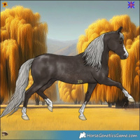Horse Color:Liver Chestnut Mushroom Rabicano 