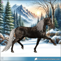 Horse Color:Silver Grullo Ice 